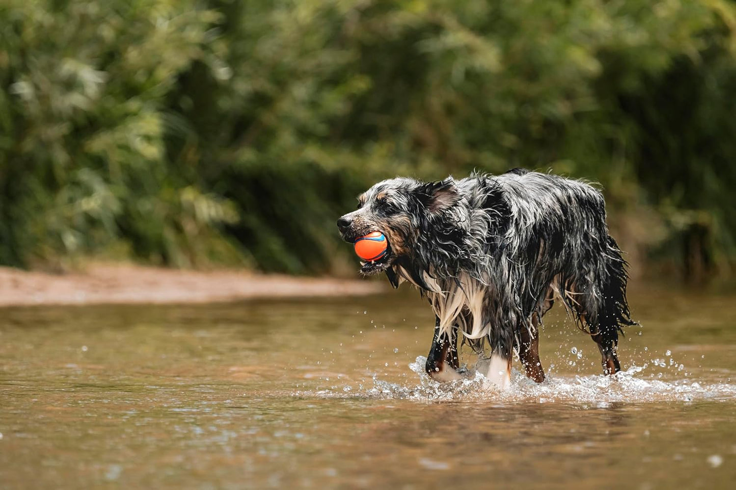 Chuckit! Dog Fetch Ball Medley, Medium, 3 Pack, Ultra, Rugged Balls Included Visit the Chuckit! Store