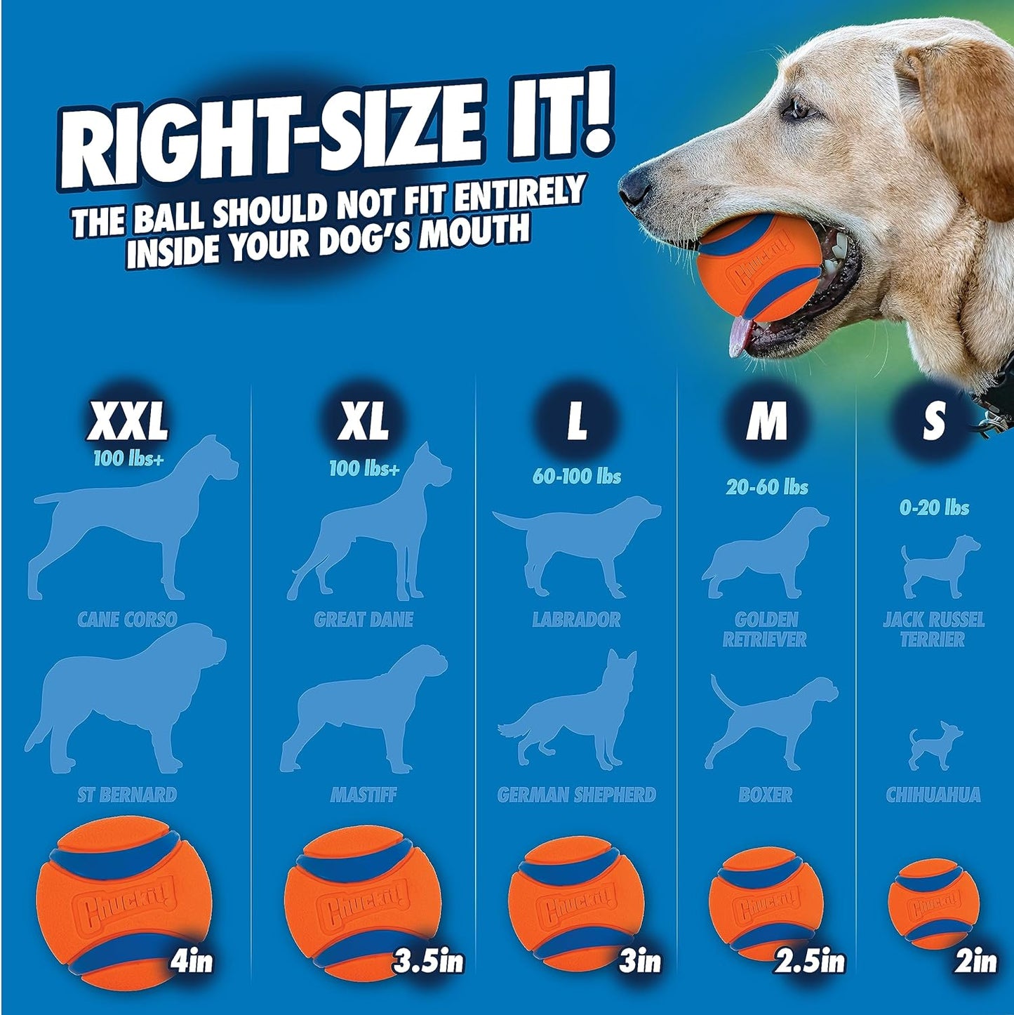 Chuckit! Classic 26M Dog Ball Launcher, 26" Length, Includes Medium Ball (2.5") For Dogs 20-60 Pounds, Made in USA