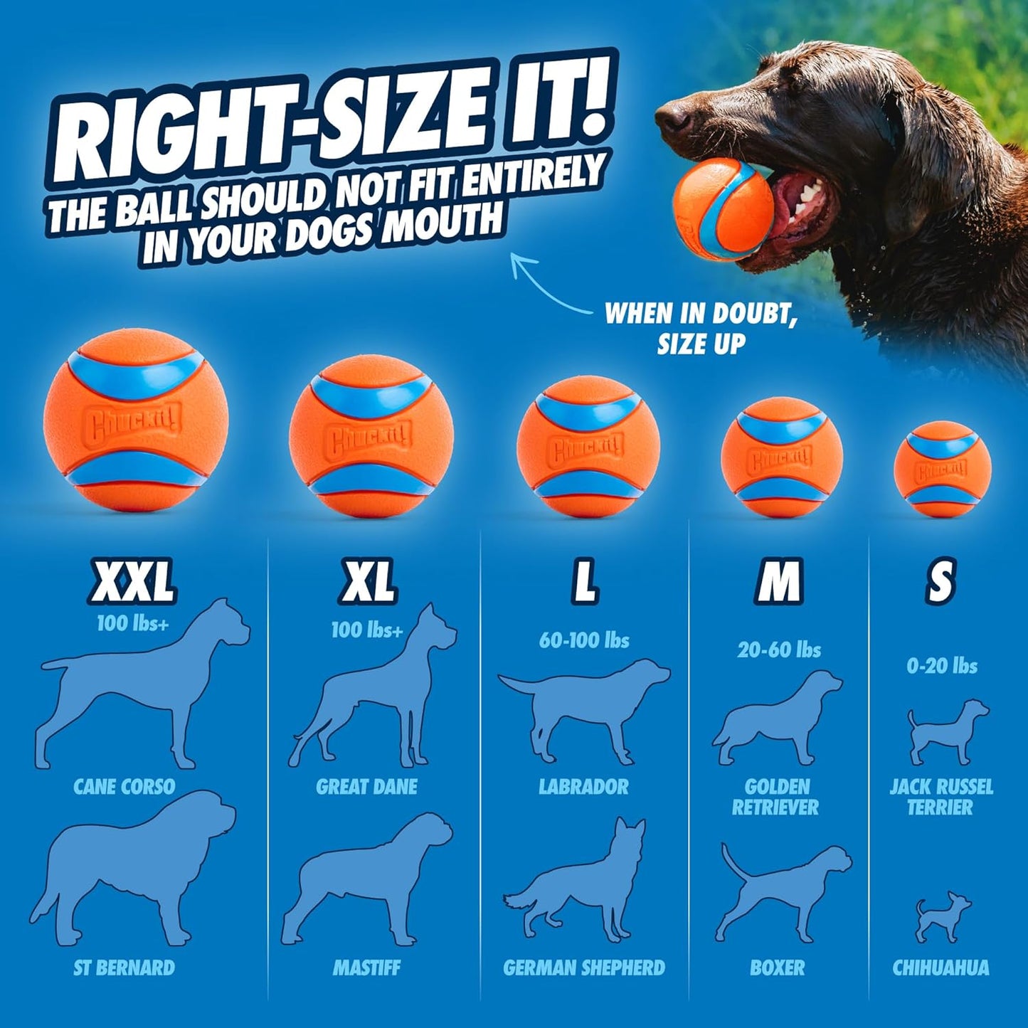 Chuckit! Ultra Ball Dog Toy with Chuckit! Cleaning Bucket Bundle - Bouncy Fetch Pet Toys For Dogs 20-60 lbs - Floats in Water - Durable Rubber - Size Medium - 2.5-inch Diameter - 8-Pack of Balls